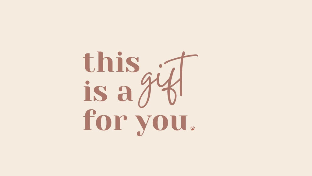 gift card - Lilly + Dash