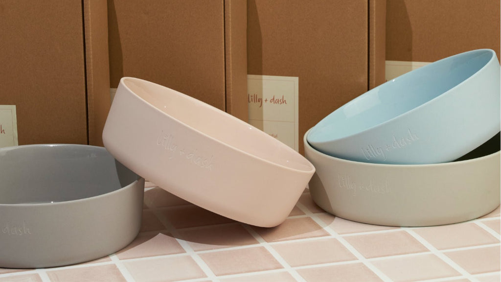 large pet bowl - Lilly + Dash