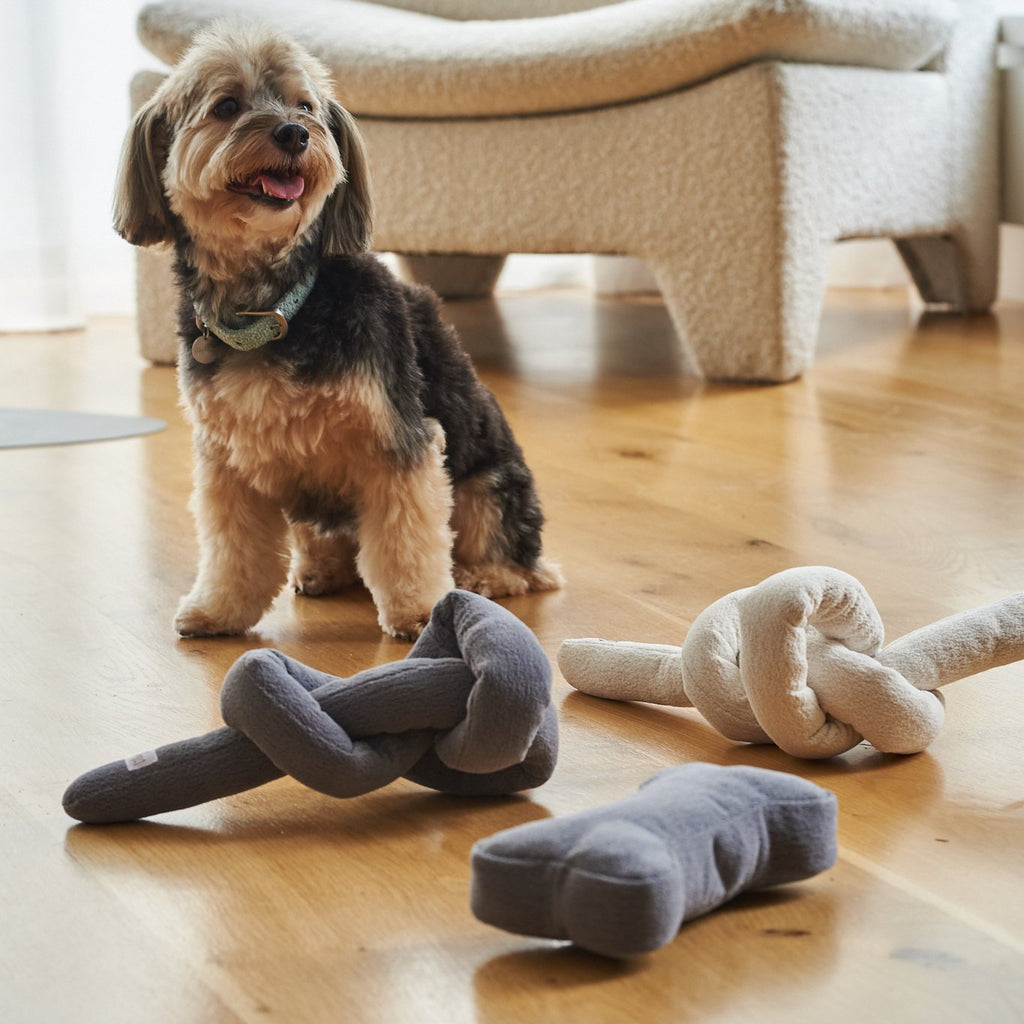 bone toy charcoal - Lilly + Dash