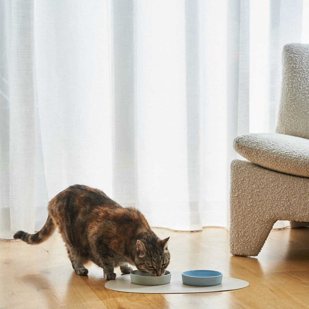 cat dining set - Lilly + Dash