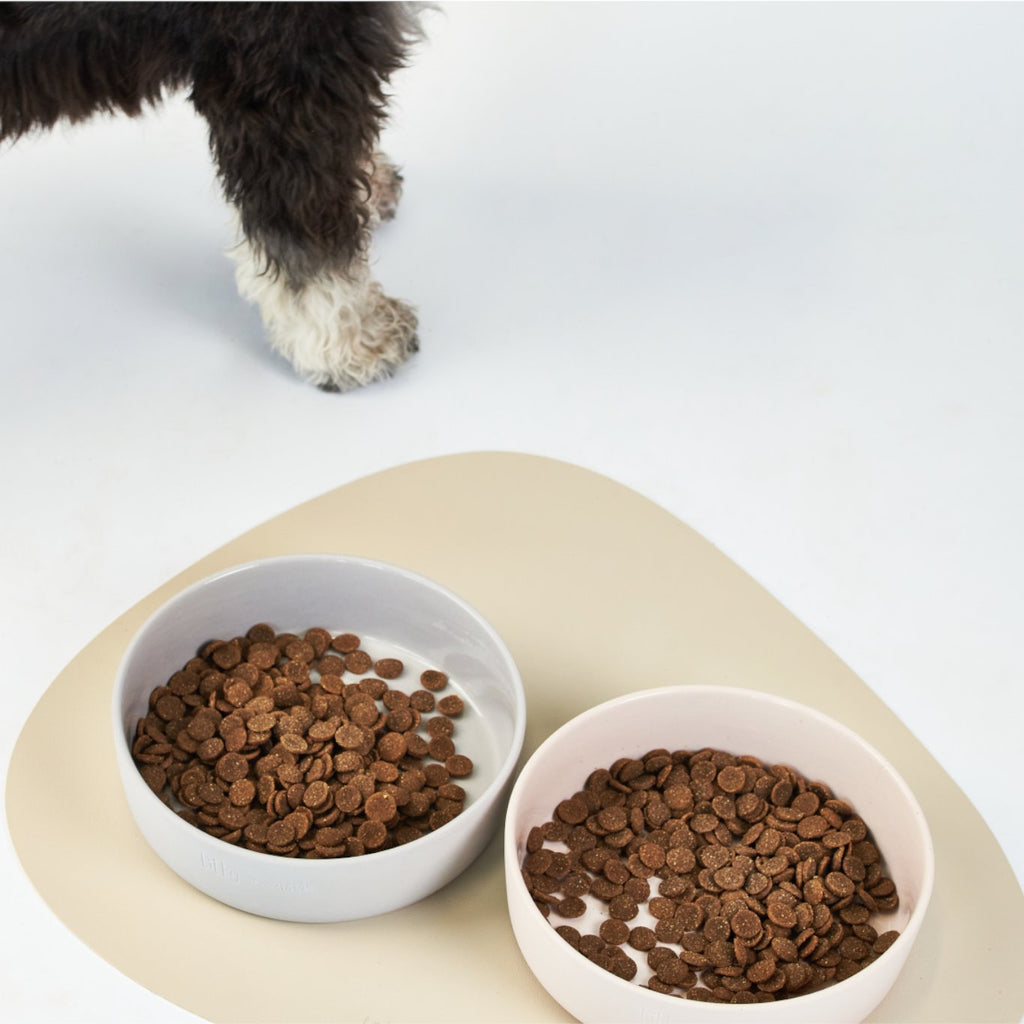 dog dining set - Lilly + Dash