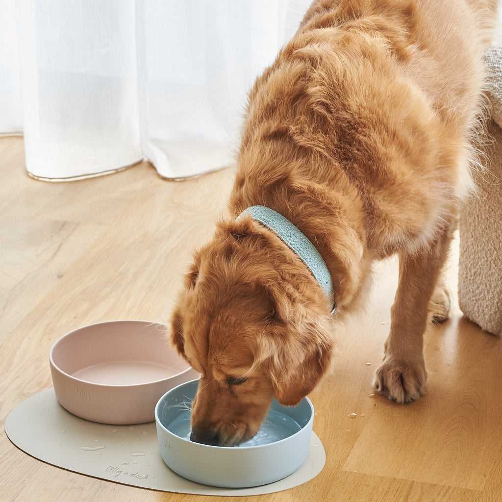 large pet bowl cloud - Lilly + Dash