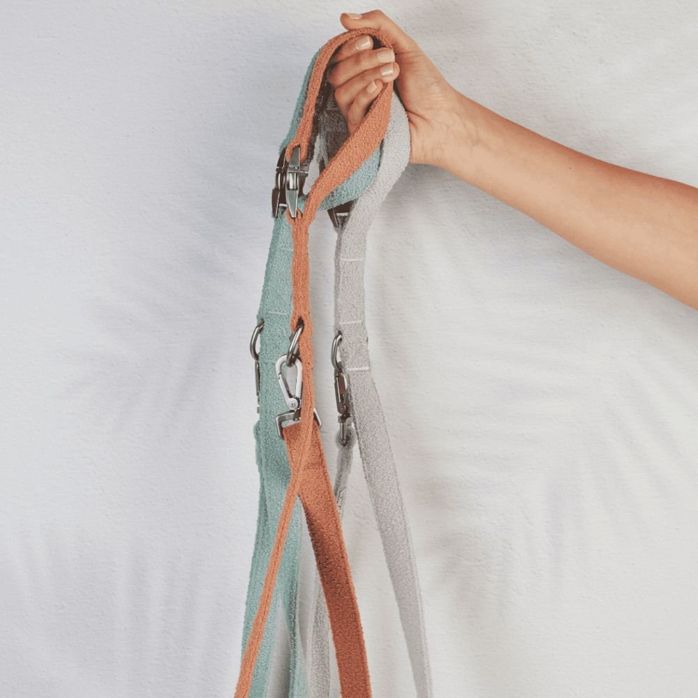 leash cloud - Lilly + Dash