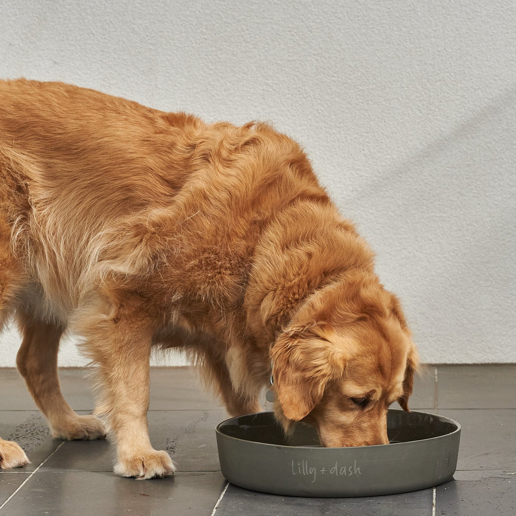 outdoor water bowl charcoal - Lilly + Dash